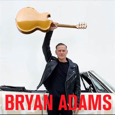 bryan adams tampa fl